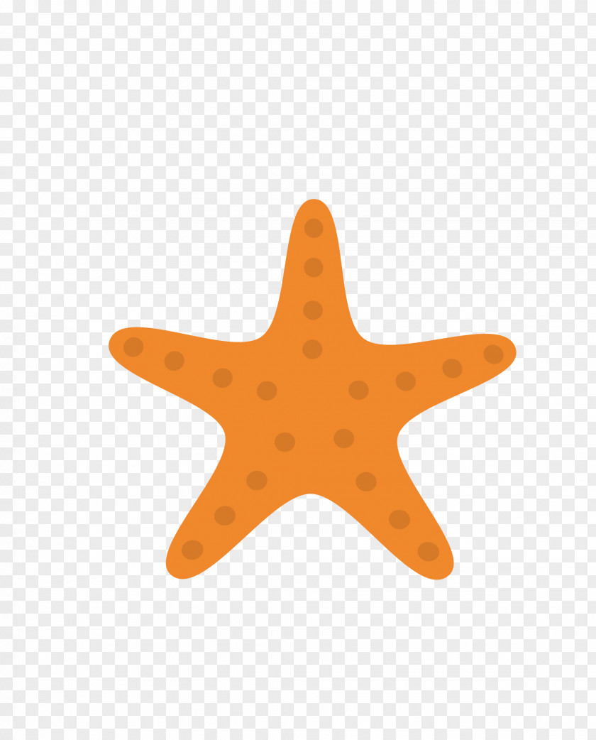 Starfish Icon Design PNG