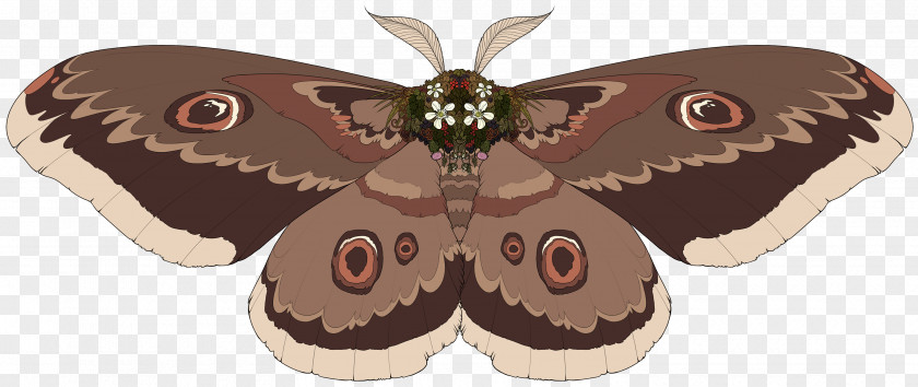 Butterfly Brush-footed Butterflies Silkworm Moth PNG