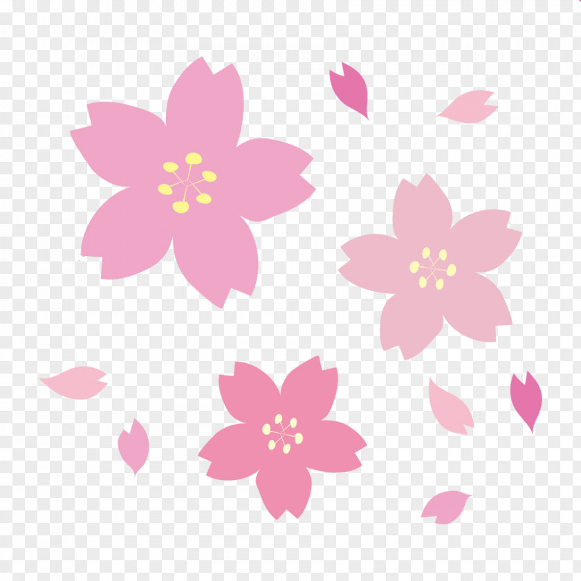 Cherry Blossom 2017 National Festival Paper PNG