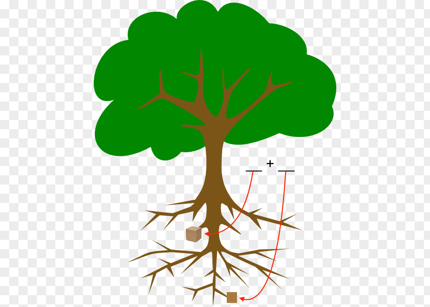 Clever Badge Clip Art Tree Branch Free Content PNG