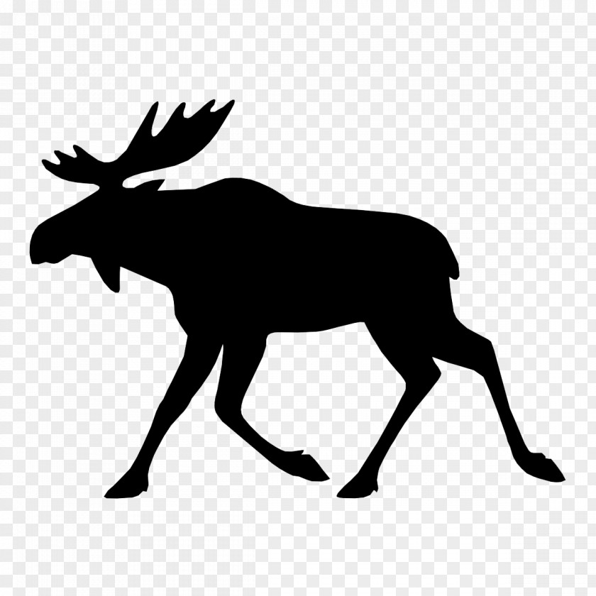 Deer Moose Elk Royalty-free PNG