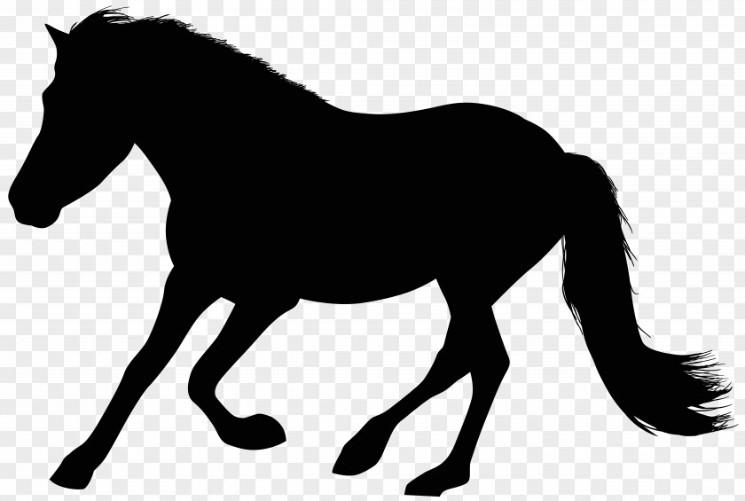 Mustang Mane Stallion Foal Clip Art PNG