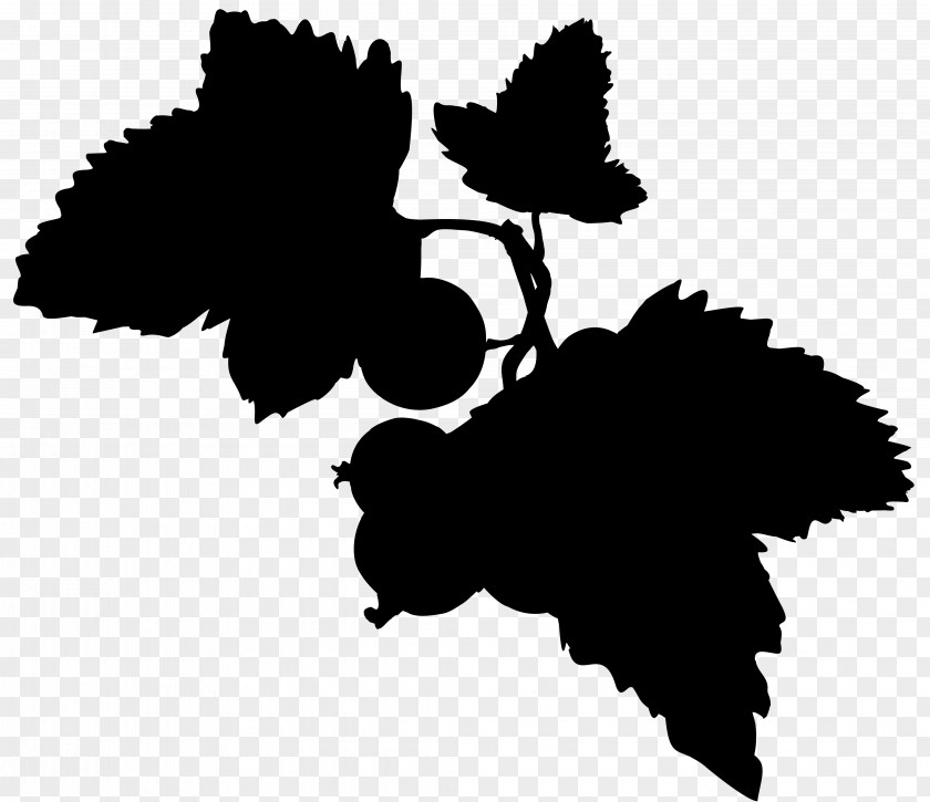 Plane Logo Black And White Flower PNG