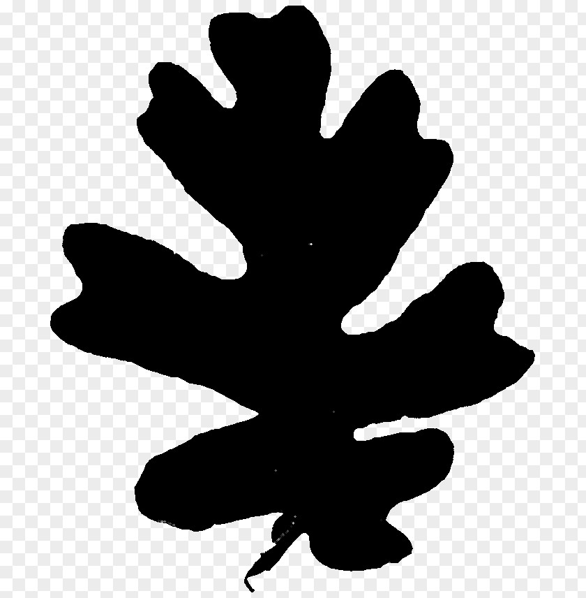 Tree Clip Art Flower Finger Silhouette PNG