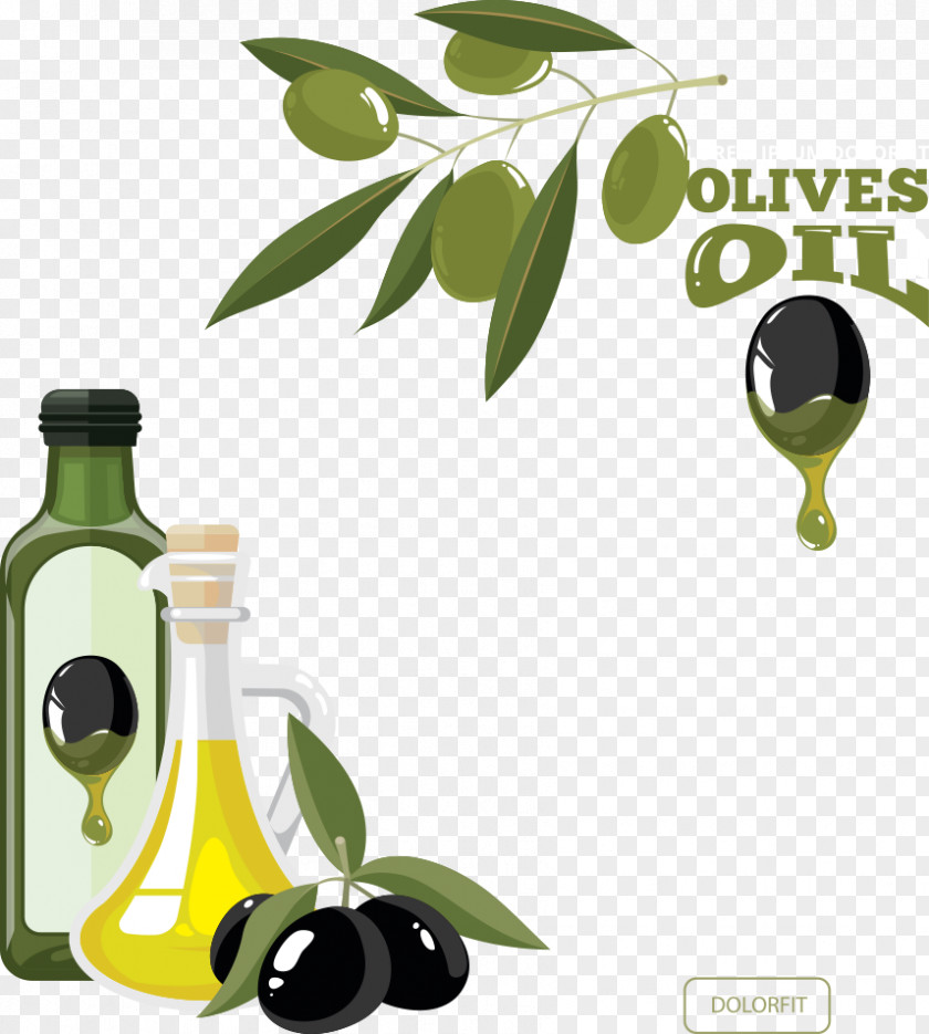 Vector Green Olives Gourmet Olive Oil Bottle PNG