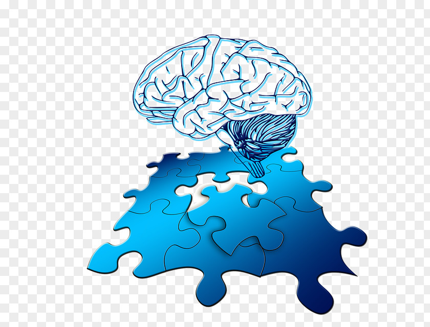 Brain Clip Art Mathematical Puzzle Image Teaser Logiwa PNG