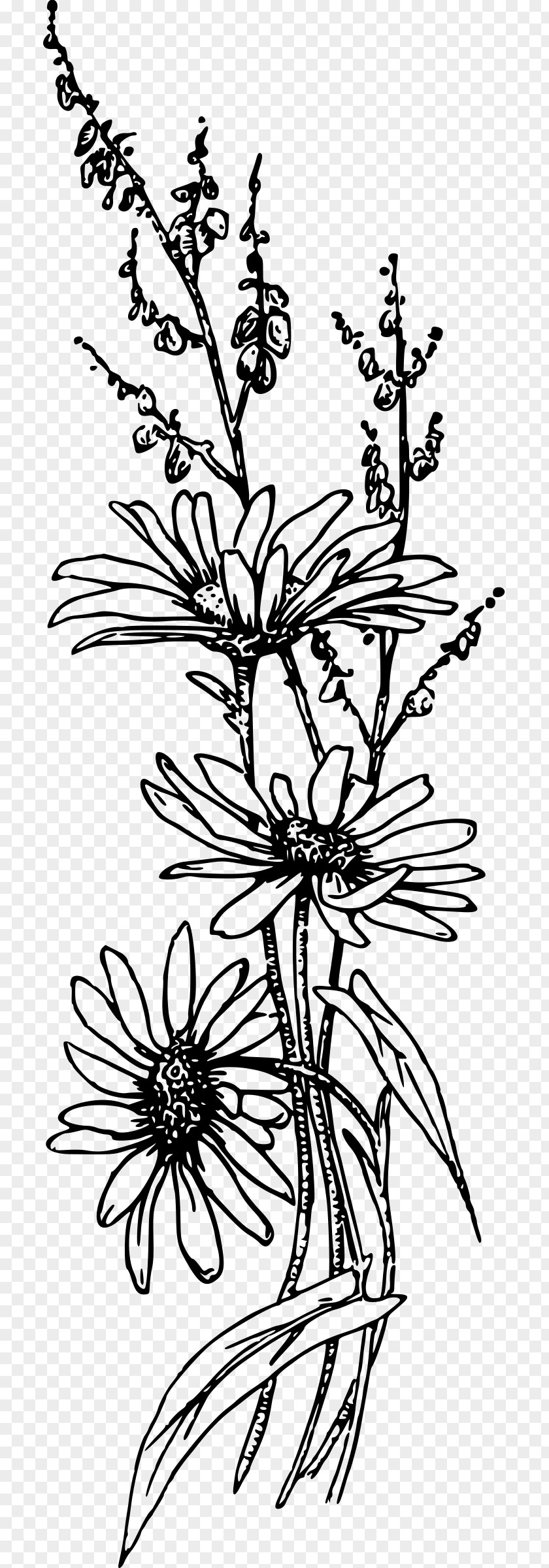 Flower Clip Art PNG