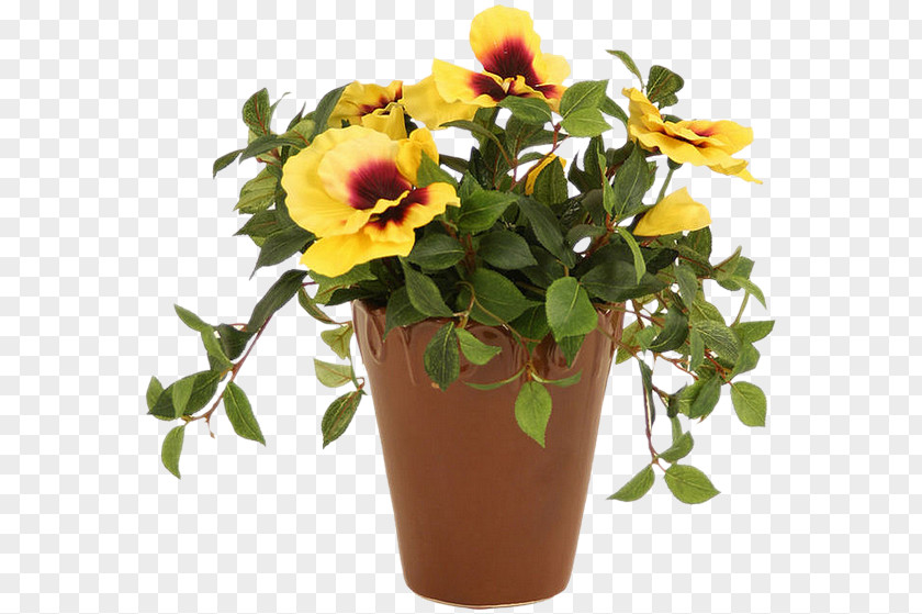 Flower Flowerpot Crock Cut Flowers PNG