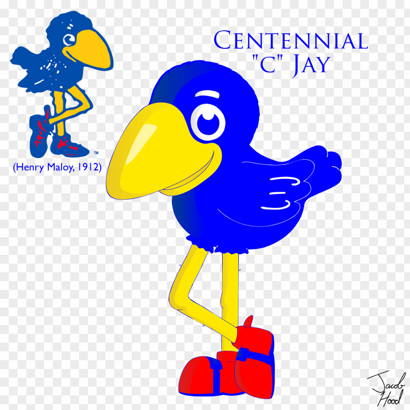 Folded Jeans Kansas Jayhawks Men's Basketball Women's Centennial Jay Big Jayhawk Boulevard PNG