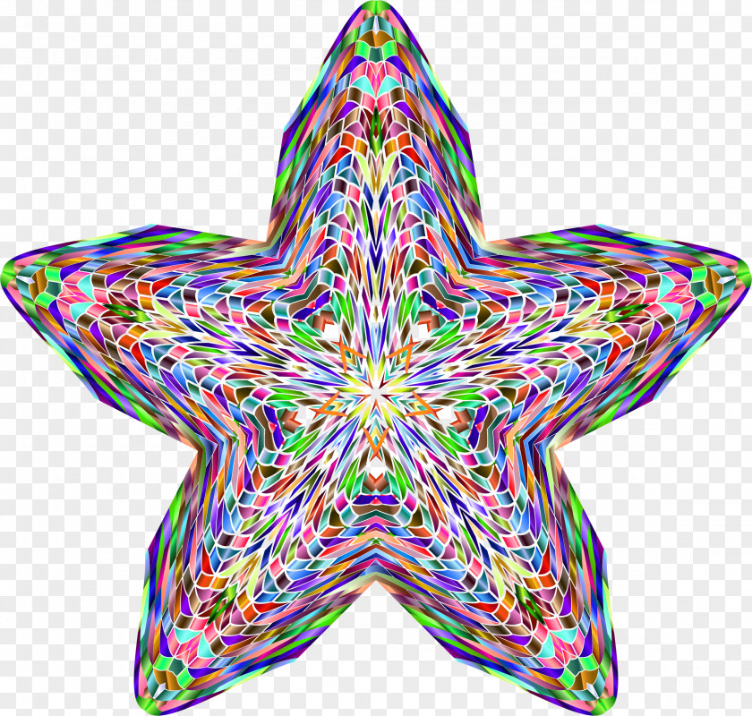 Melon Starfish Clip Art PNG