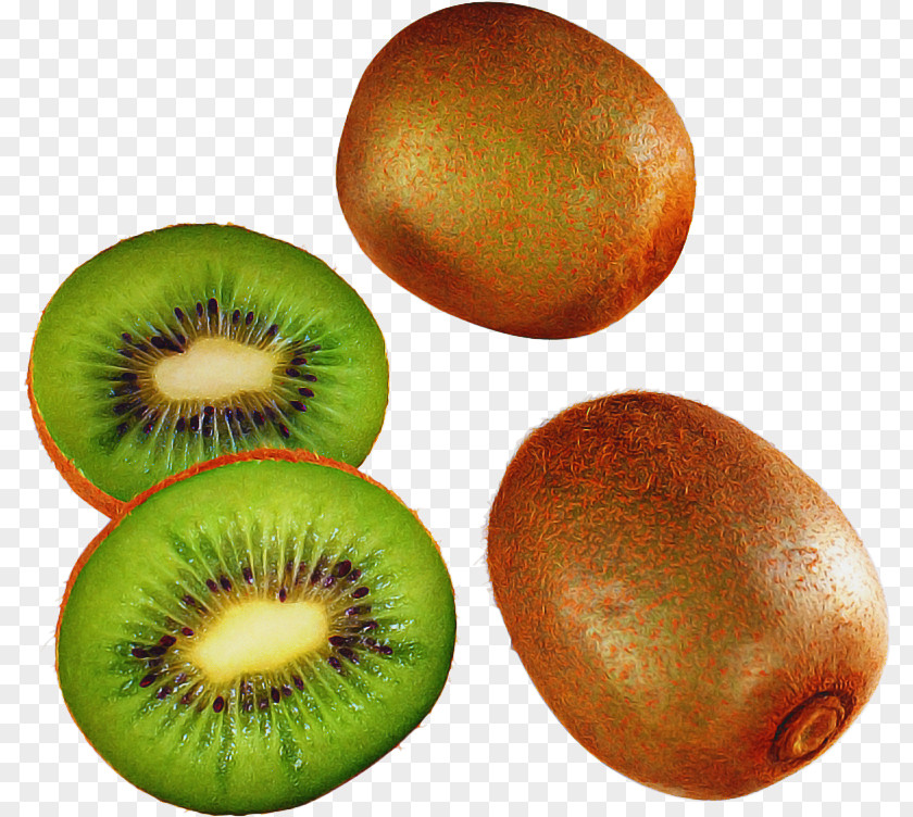 Plant Kiwi Kiwifruit Transparency Hardy Berries PNG