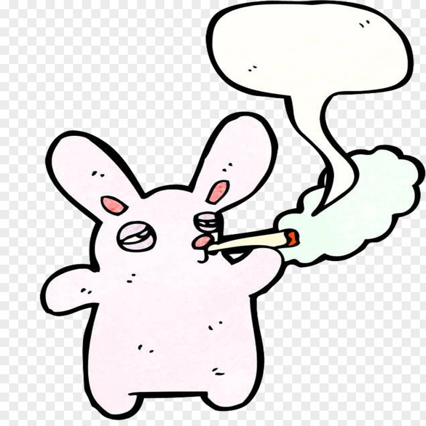 The Rabbit Is Smoking PNG