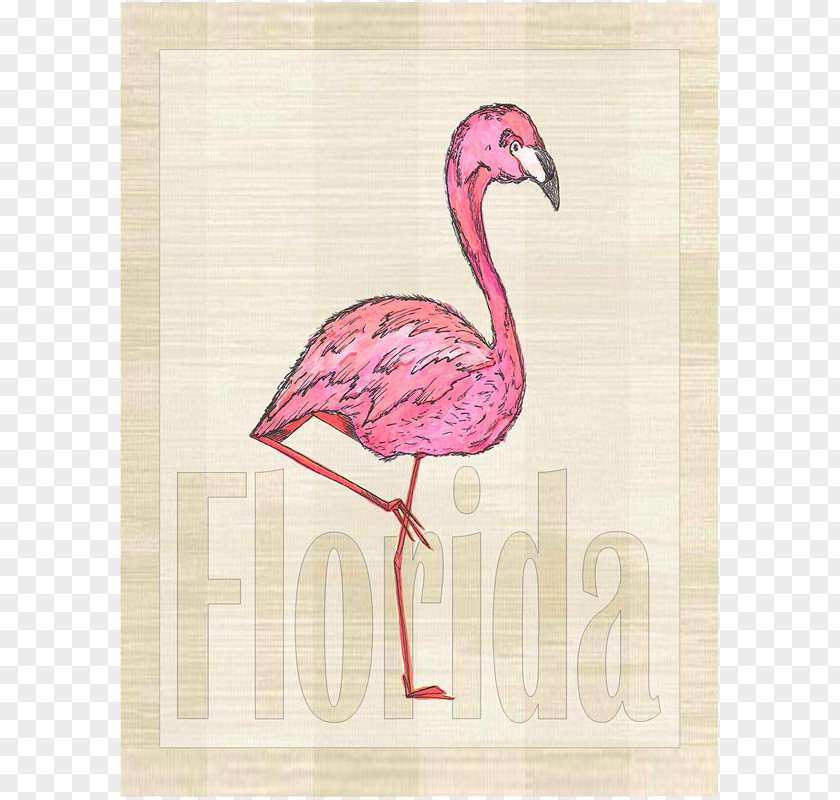 Beach Sign Beak Pink M PNG