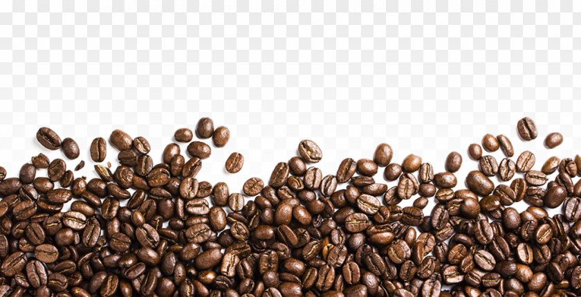 Coffee Beans Transparent Images Iced Espresso Bean PNG