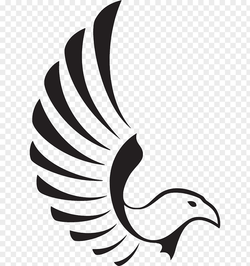 Eagle Bald Clip Art PNG