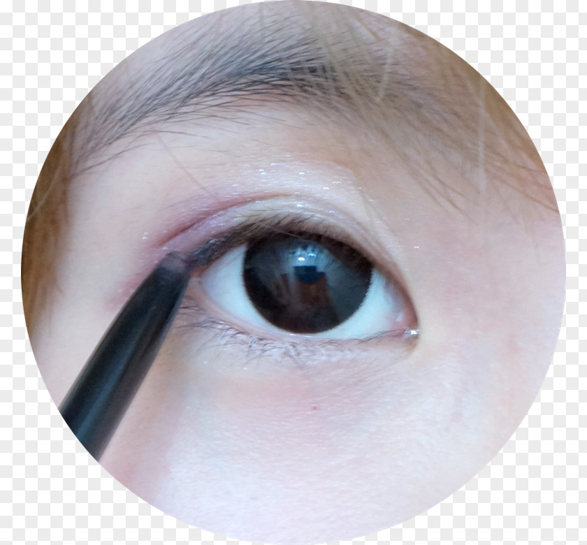 Eye Eyelash Extensions Liner Shadow Lip Iris PNG