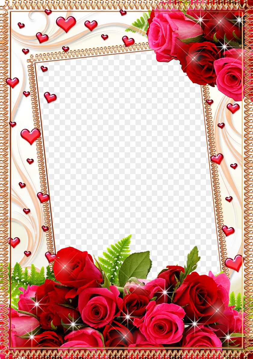Mood Frame Pictures Picture Flower Rose PNG
