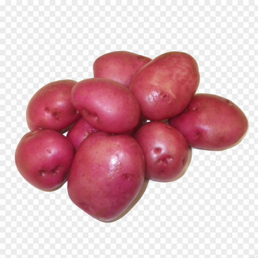 Potato Cranberry Red Pontiac Food Izambane PNG