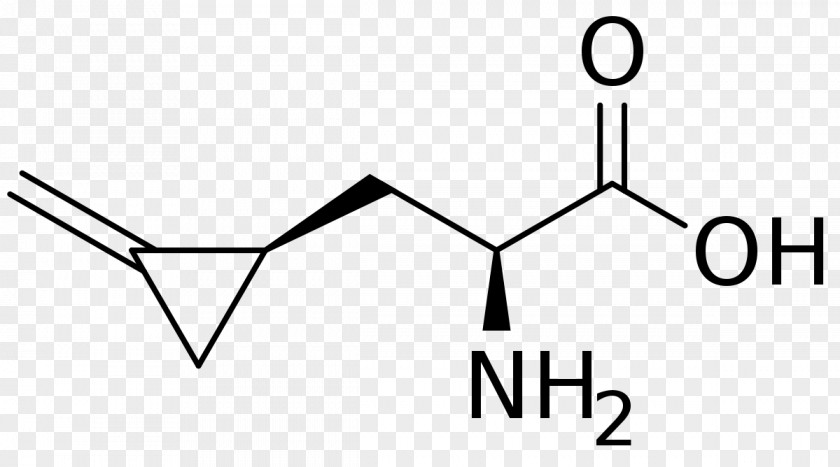 Amino Acid Chemistry Phenylalanine Chemical Formula Hypoglycin A PNG