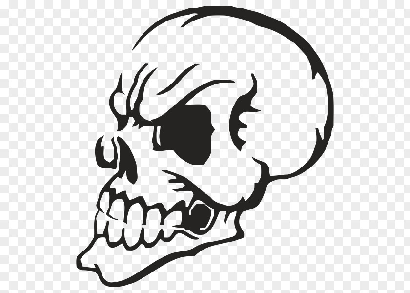 Cartoon Skull Clip Art Bumper Sticker Decal Professional Wrestling PNG