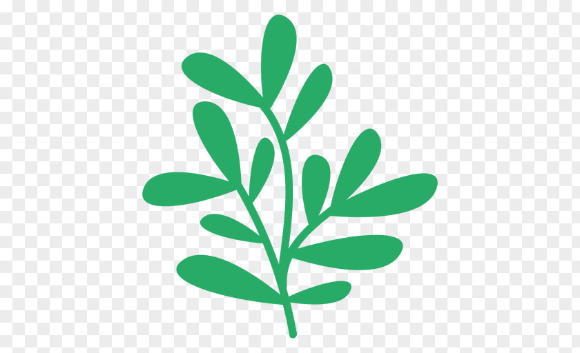 Doodle Vector Plant Clip Art Illustration Leaf Drawing PNG