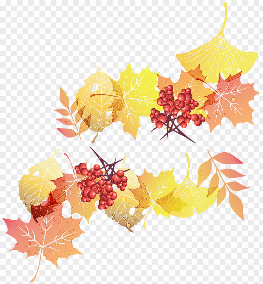 Autumn Black Maple Floral Flower Background PNG