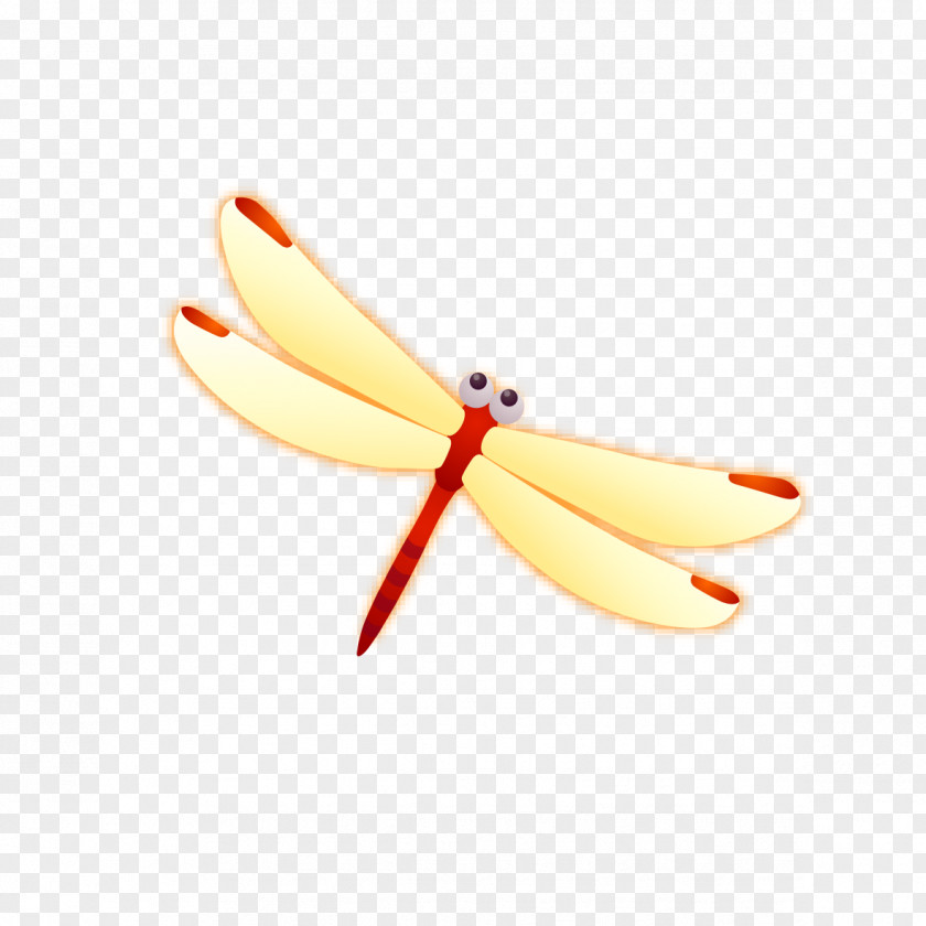 Cartoon Dragonfly Animation PNG