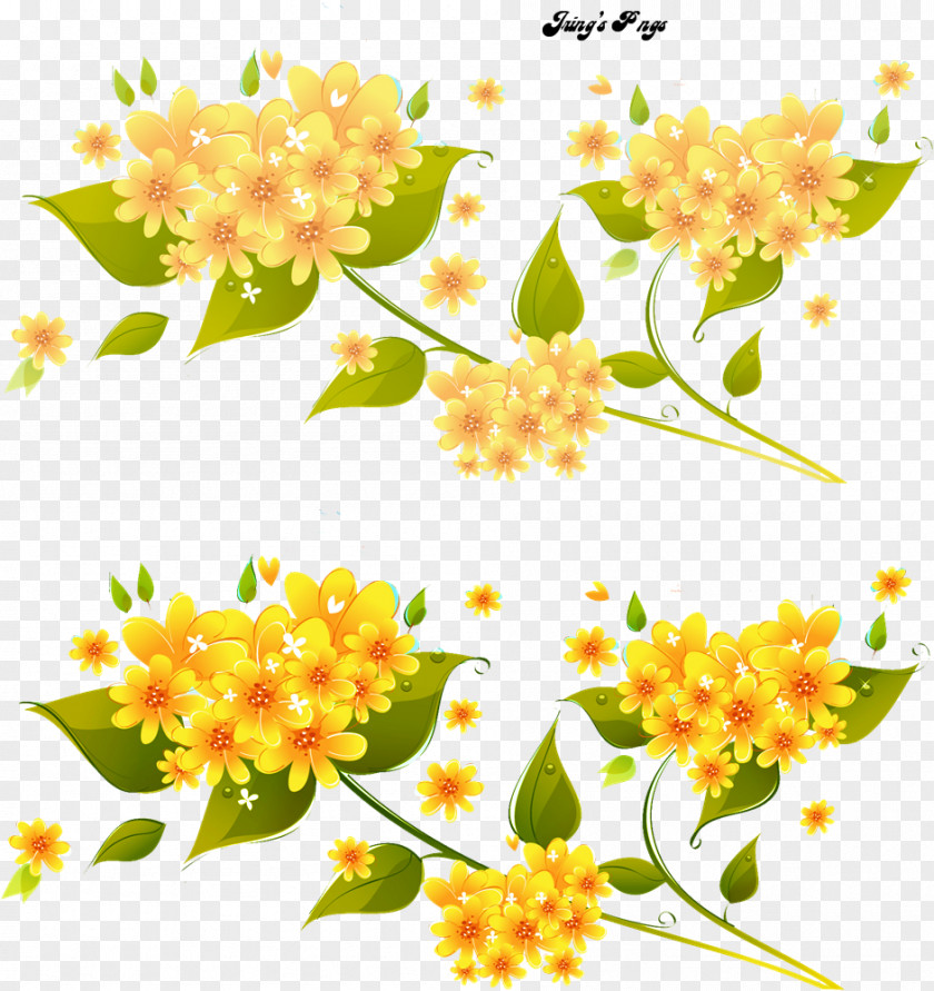 Floral Flower Yellow Photography PNG