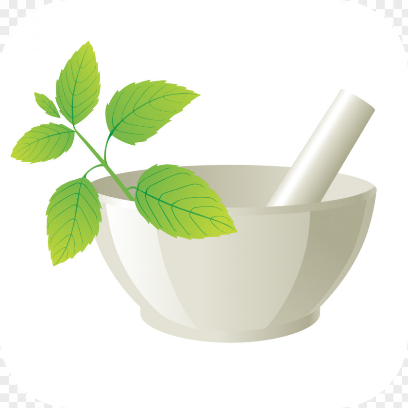 Herbal Medicines Image Clip Art Logo Ayurveda Vector Graphics PNG