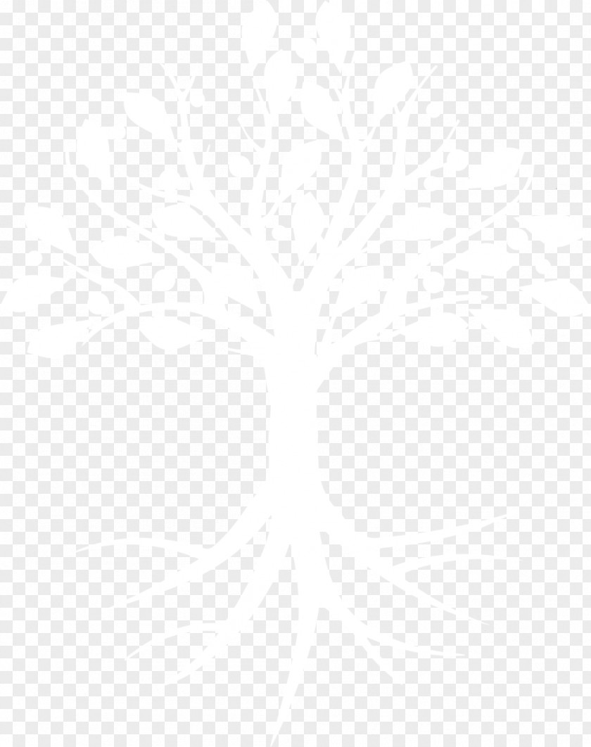 Klimt Tree Of Life Beeson Divinity School Samford University Logo Organization ScufGaming, LLC PNG