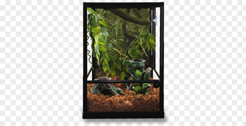 Leopard Gecko Reptile Terrarium Common Crested PetSmart PNG