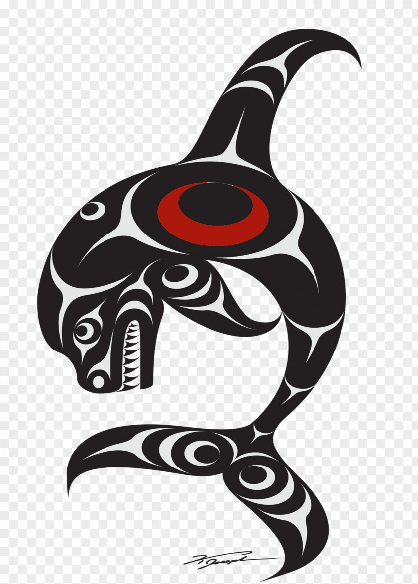 Level 4 Killer Whale Animal PNG