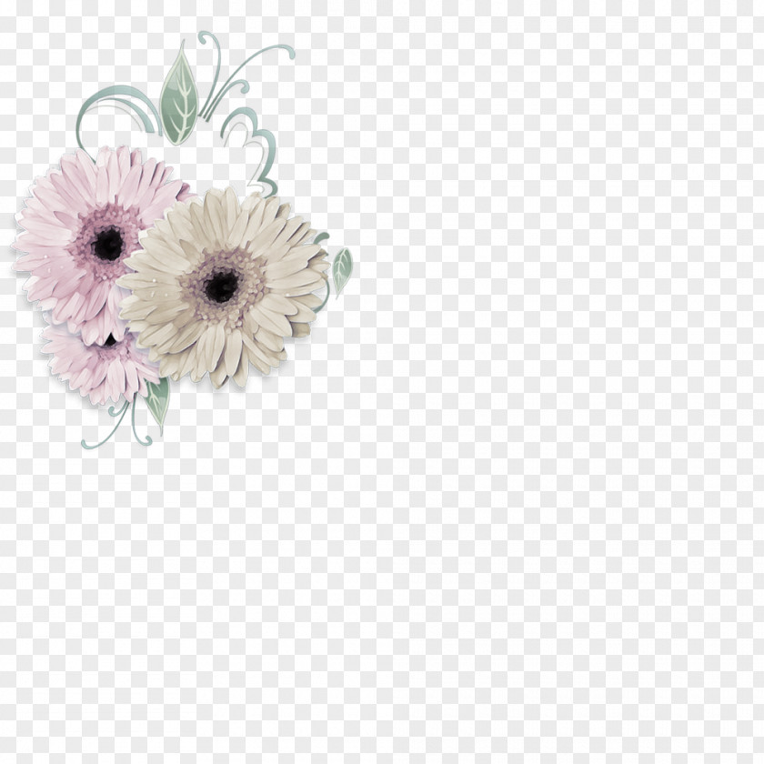 Psd Layered Material Transvaal Daisy Floral Design Cut Flowers Flower Bouquet PNG