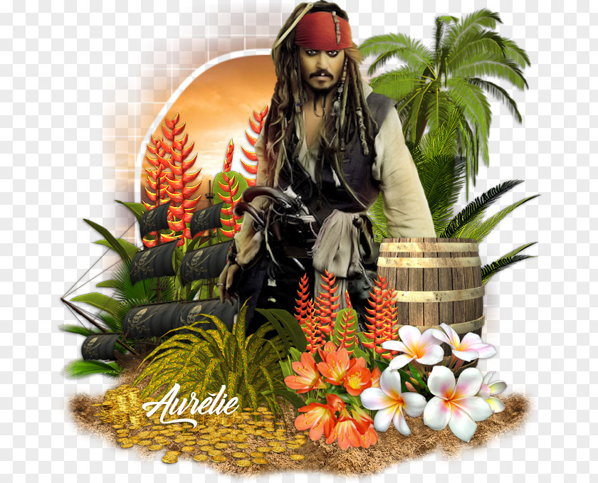 Black Pearl YouTube Baby Boomers Online Chat Guestbook PNG