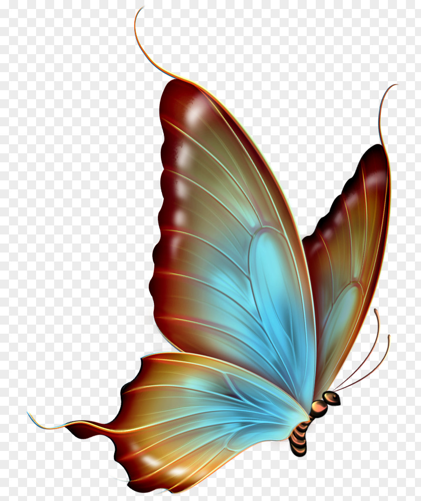 Brown And Blue Transparent Butterfly Clipart Clip Art PNG