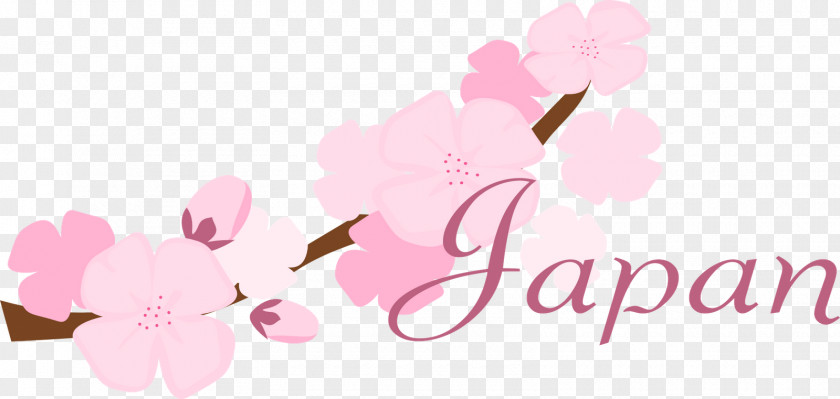 Cherry Blossom Desktop Wallpaper National Festival Flower PNG