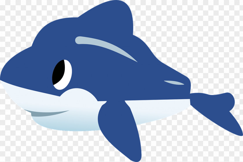 Dolphin Cartoon Baby Whale Clip Art PNG