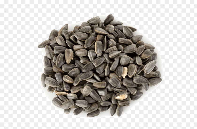 Seeds Raw Foodism Sunflower Seed Sesame Nutrition PNG