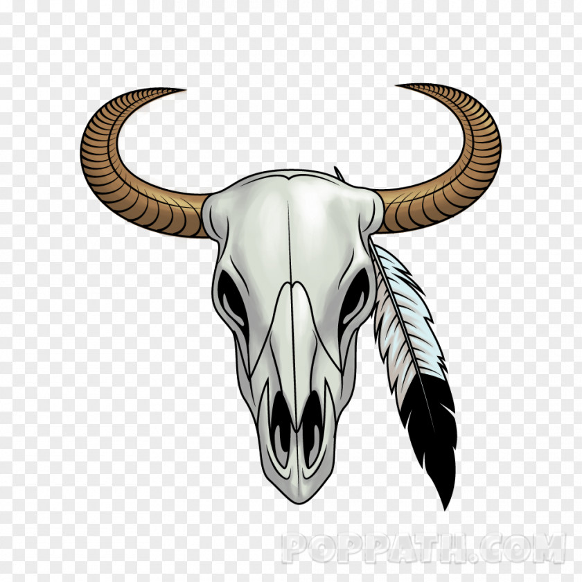 Skull Texas Longhorn Drawing English Sketch Clip Art PNG