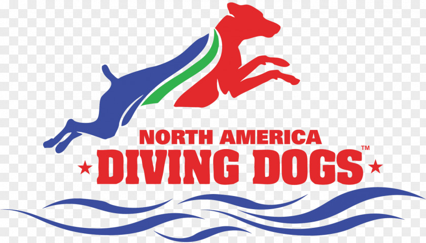 United States Dock Jumping Border Collie American Kennel Club Dog Agility PNG