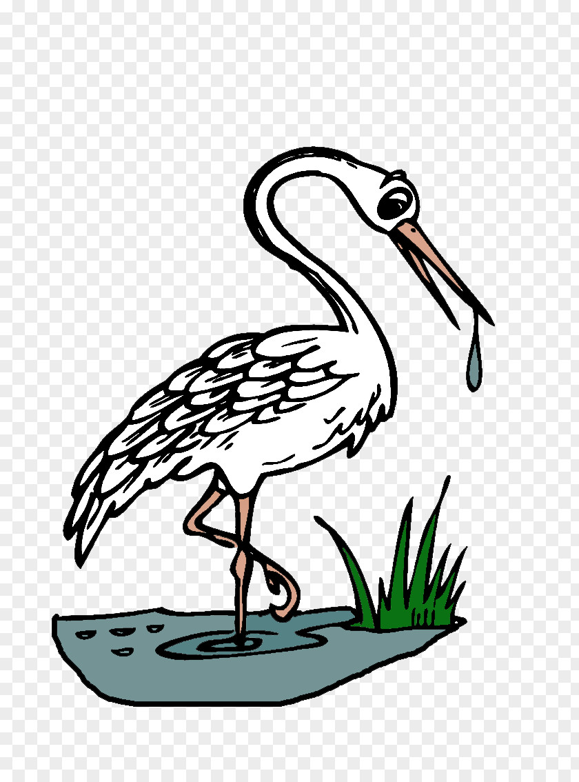 Wordpress Coloring Book Great Herons Beak Water Bird PNG