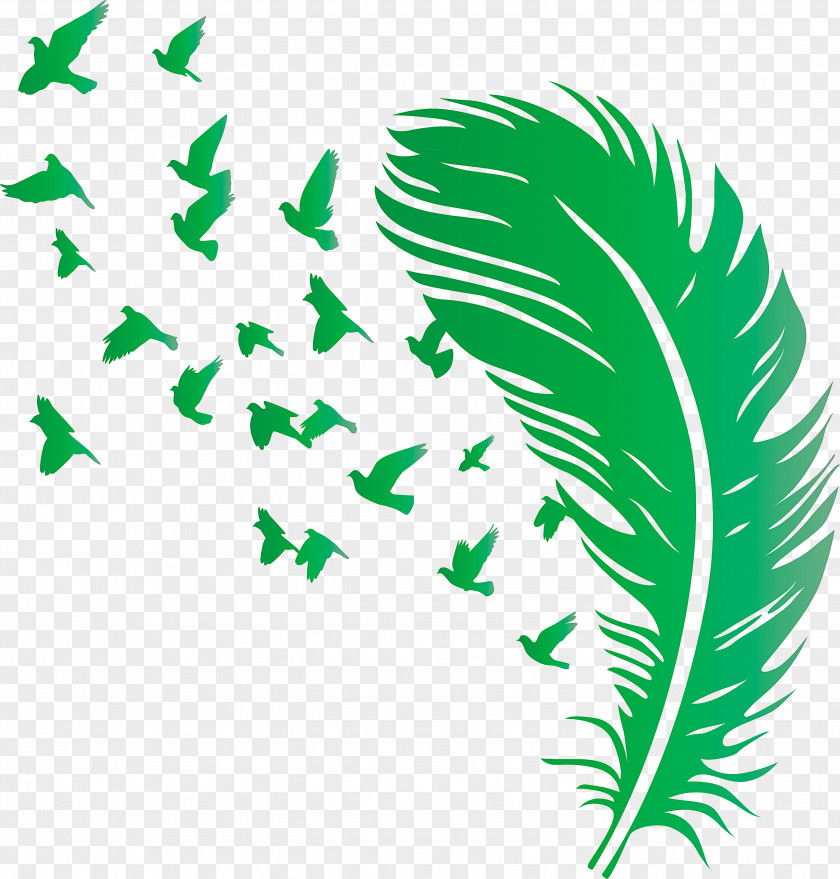 Bird Feather PNG