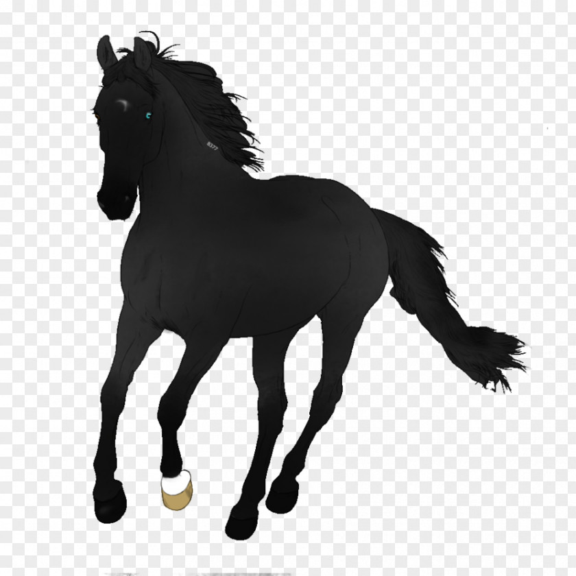 Dark Horse Mustang Stallion Colt Pony Mare PNG
