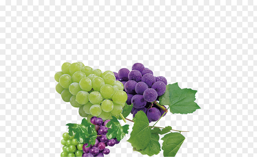 Grapes And Sultana Grape Purple Auglis Seedless Fruit PNG