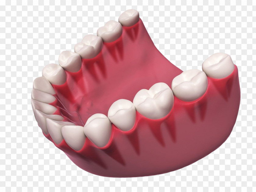 Hand-painted Teeth Stock Photography Royalty-free Clip Art PNG