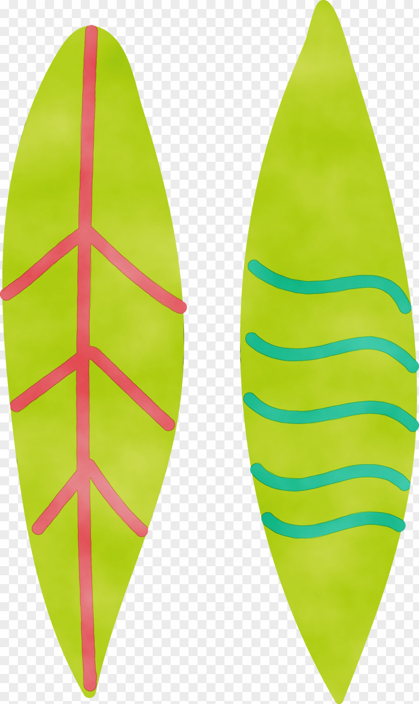 Leaf Surfboard Green Science Biology PNG