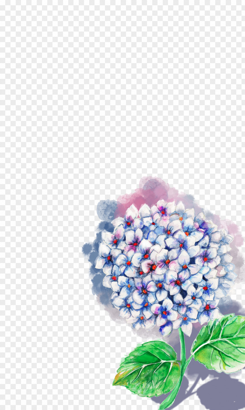 Lilac Flower Hydrangea Red Blue PNG