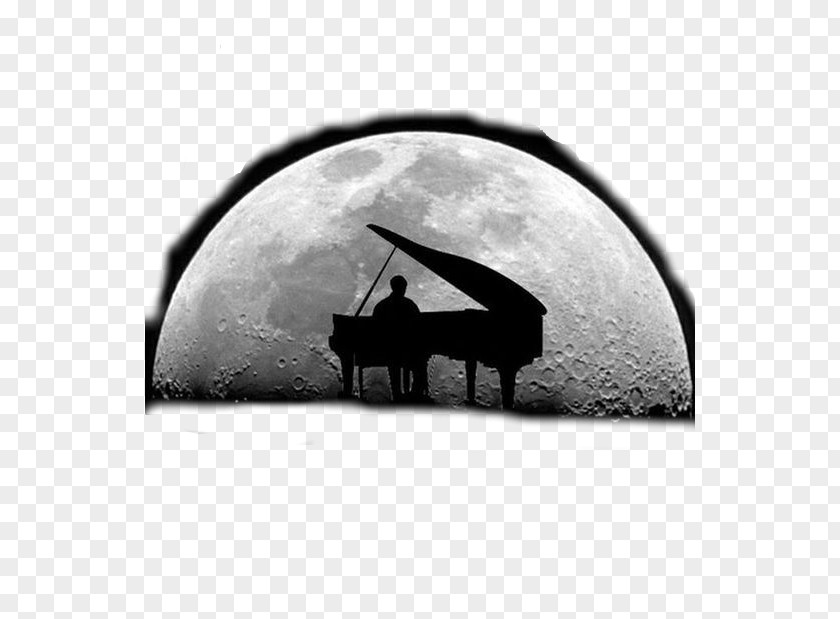 Moonlight Sonata Musician Composer Song Piano PNG