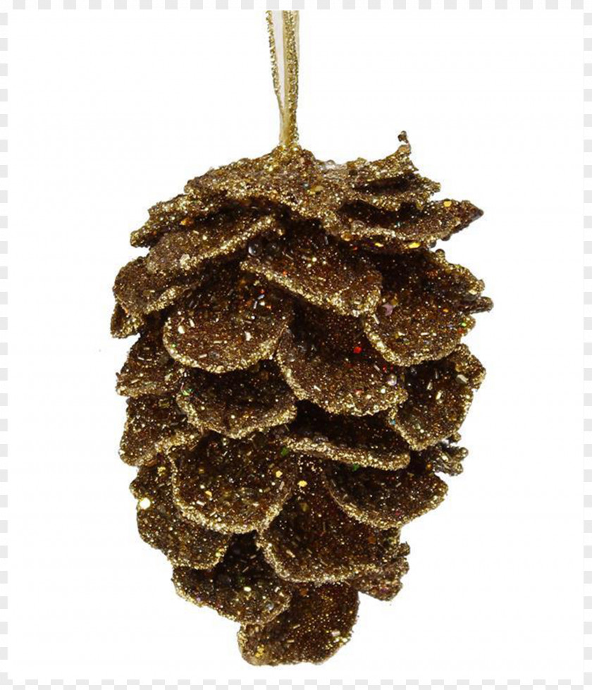 Pheasant Feathers Conifer Cone Picea Mariana Ornament Fir Bead PNG