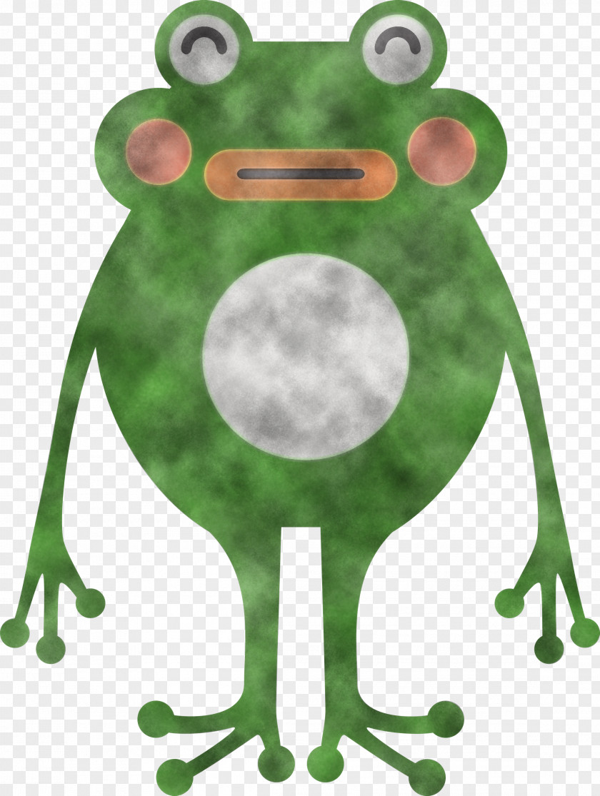 True Frog Toad Frogs Green Tree PNG